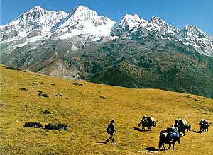 Bhutan