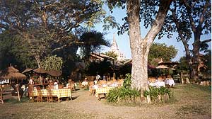 The Garden