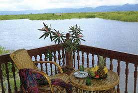 View from the terrace