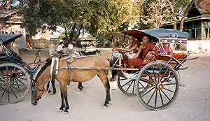 Mongs riding a "Bagan-Taxi"