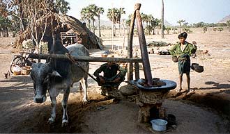 Water-Buffolo powered mill
