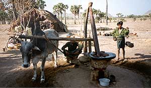 Waterbuffolo - Pump