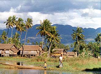 Floating farm