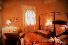 Jaqueline Kanedy Suite