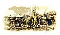 Ta Phrom Temple