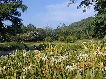Sriracha International Golf Course