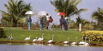 Bangkok Golf Course