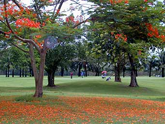 Panya Park