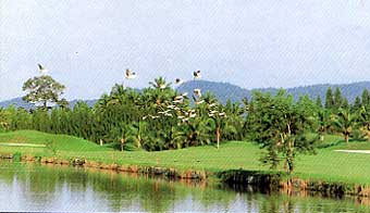 1C Par 5