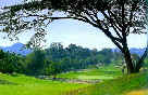 Friendship Meadows GC