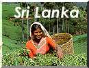 Sri Lanka Hotels and Tours