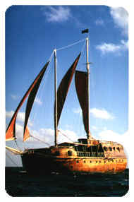 M.S.S. BARUTHEELA