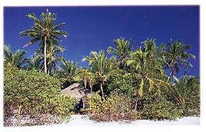 Maldives Hotels Elliadoo