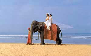 A couple enjoying an elephant ride on the Taj Exotica Beach
