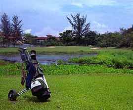 At the Fairway...