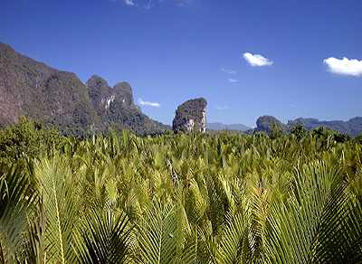 Spectacular view of Phang Na