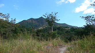 Khao Yai National Park