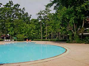 swiming pool