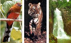 Khao Yai National Park Adventure Tour