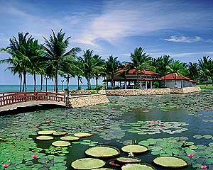 Lake