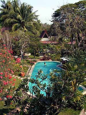 The garden with pool