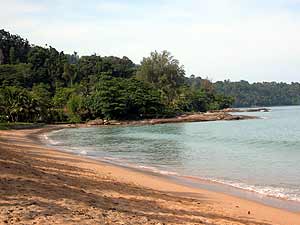 Beach