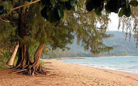 Pascha Resort - Beach