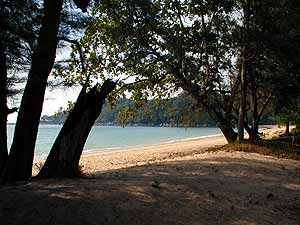 The beach with lots of shadow spending zrees
