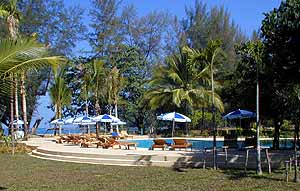 Garden with pool