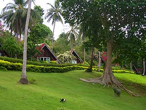 Bungalow