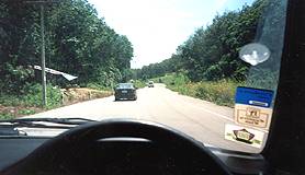 On the way down to Koh Lanta passing lush vegetation, a lot to explore ! 