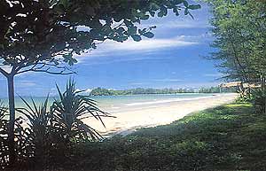 The Beach