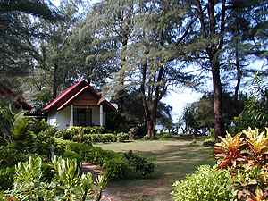 Deluxe Bungalow