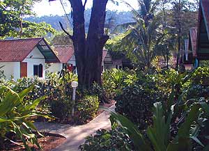 Superior Bungalows