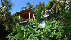 Deluxe Bungalow