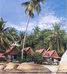 Jungle Park Resort - Lamai Beach