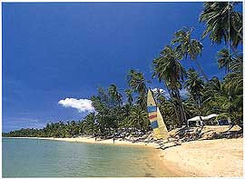 Der Hotelstrand