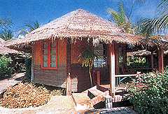 Beautiful natural bungalows
