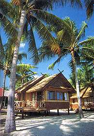 Hotel Pinnacle Co Co Palm