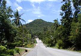 A typical Koh Samui road