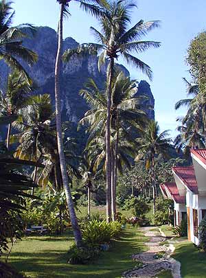 Garden with Bungalows