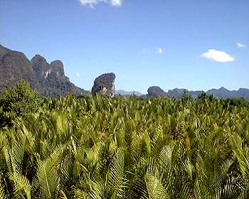 Krabi Province