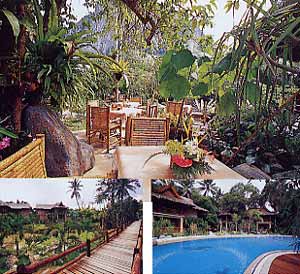 Garden and pool