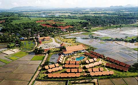 Golden Pine Resort - Chiang Rai