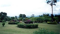 The garden and the view of the hills in the background