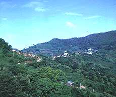 Berglandschaft in der noerdlichen Chiang Rai Provonz bei Mae Salong