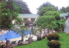 Der Swimmingpool inmitten eines tropischen Gartens
