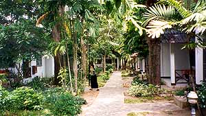 Garten mit Bungalows