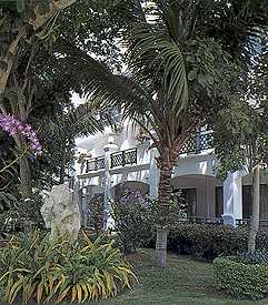 The lush tropical garden !