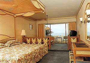 Mini Suite